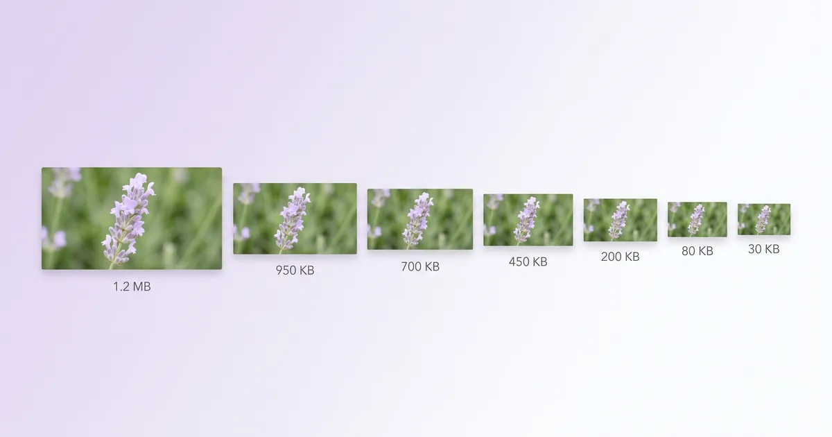 7 Best Free Image Compressors in 2026